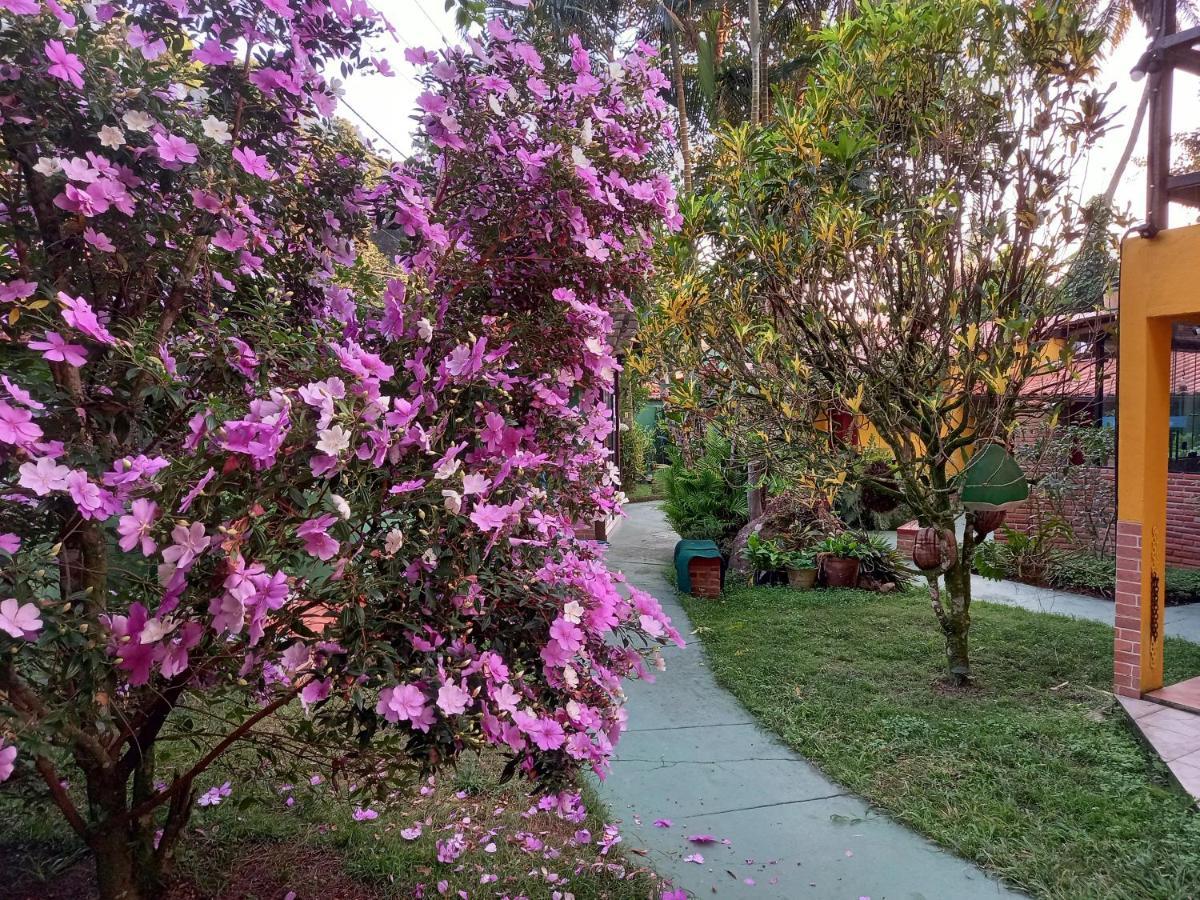 Recanto Das Flores Lofts - Ilha Grande Rj Екстериор снимка